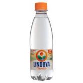Água Lindoya 310 ML s\GÁS PCT 12 UNIDADES